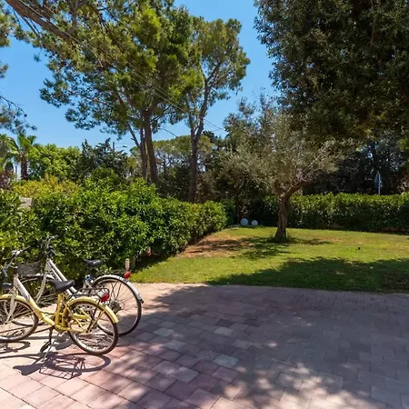 Algi Holiday home